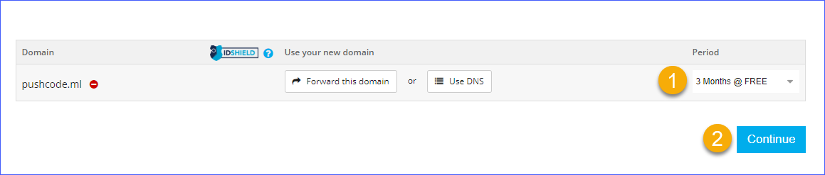 Select the domain registration period